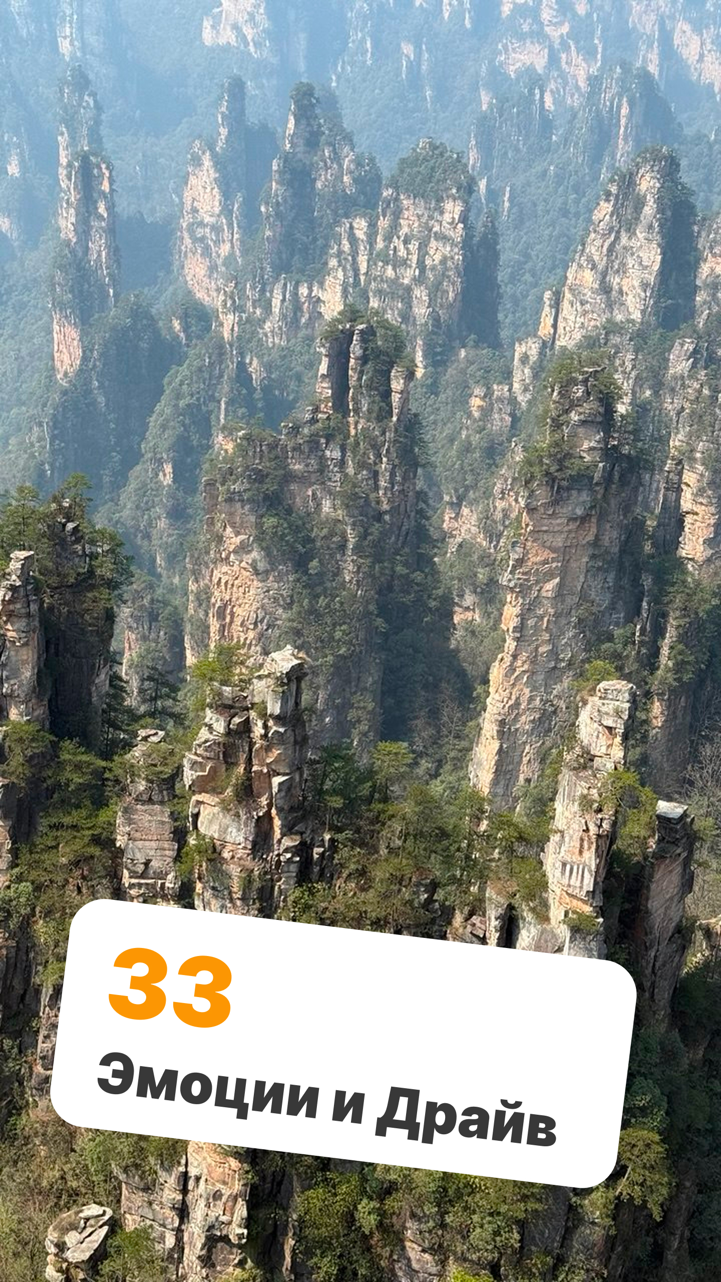 44